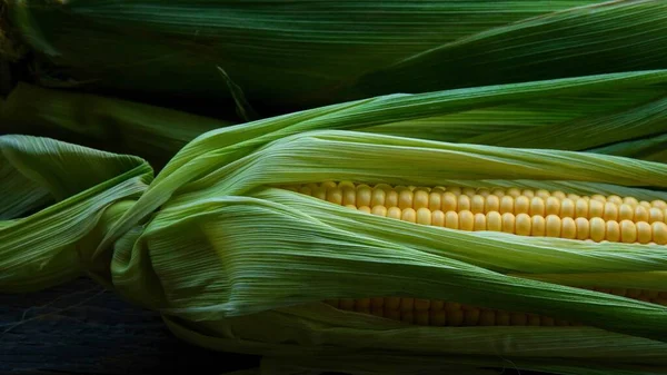 Composição Verde Talos Milho Coloridos Grãos Amarelos Maduros — Fotografia de Stock