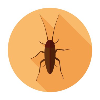 Hamamböceği simgesi düz