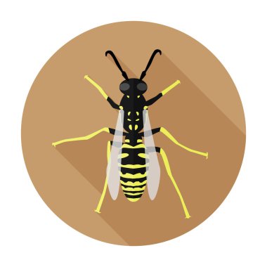Wasp Simgesi Düz