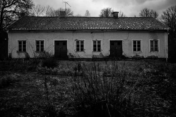 Ormandaki eski kırık evde