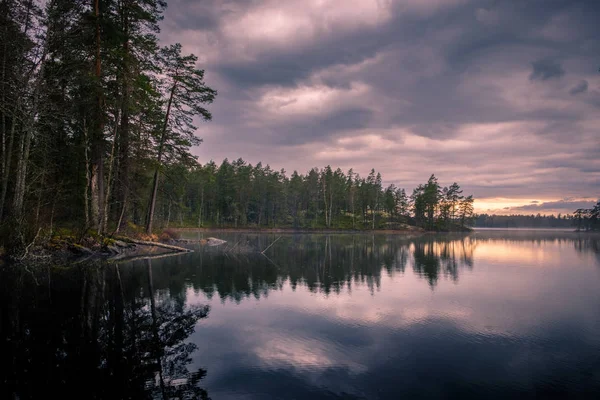 Отражения Леса Облаков Лесном Озере — стоковое фото