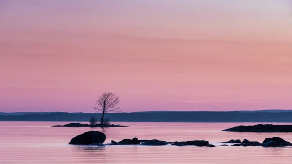 Pedras Lago Primeiro Plano Pequena Ilha Com Uma Árvore Parte — Fotografia de Stock