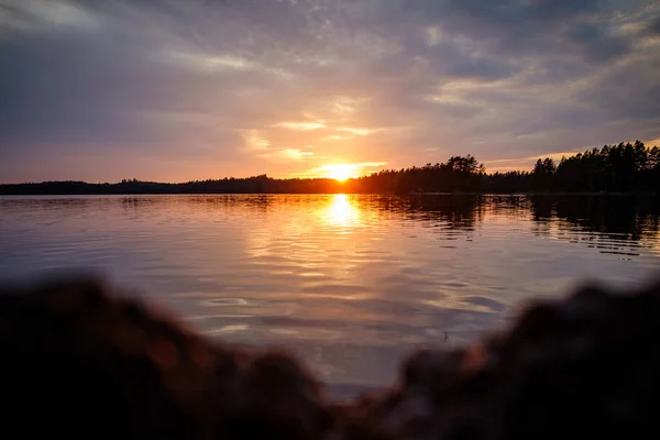 Coucher Soleil Derrière Lac Forestier Avec Avant Plan Flou — Photo