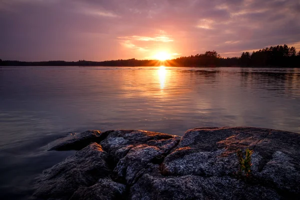 Coucher Soleil Sur Lac Avec Une Petite Plante Poussant Dans — Photo