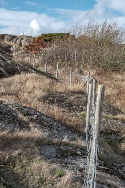 çit ahşap direklerin ve buzlu ağları ile