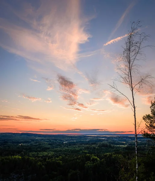 Zonsondergang Vanaf Een Uitzicht Het Bos Met Een Stuwmeer Achtergrond — Stockfoto