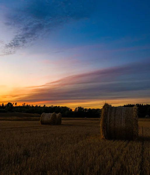 Halmbalar Ett Fält Vid Solnedgången — Stockfoto
