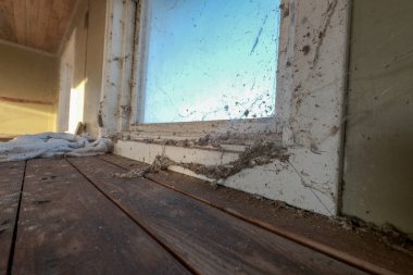 Örümcek ağı eski bir pencerede Close-up