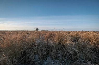 Eski gözetleme kuleleri odak içinde belgili tanımlık geçmiş ve sazlık ön planda