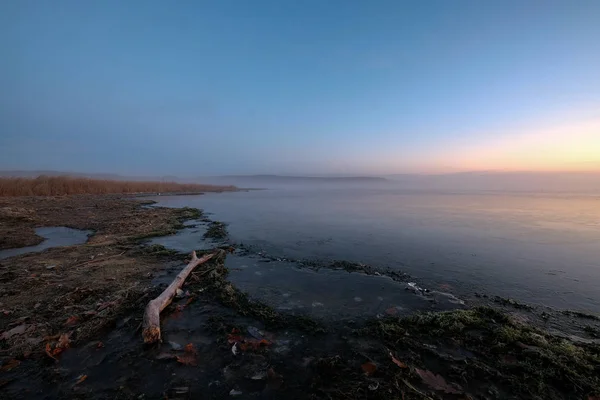 Rama Del Árbol Encuentra Una Playa Musgosa Amanecer —  Fotos de Stock