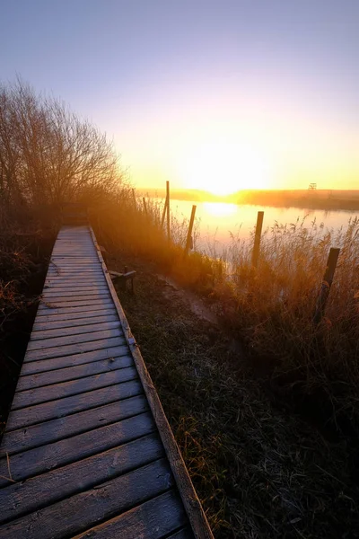 Steg Einem Fluss Mit Nebel Und Sonnenaufgang Hintergrund — Stockfoto