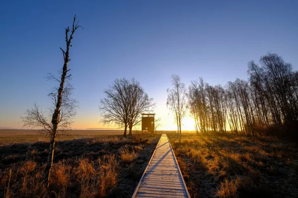 Sentier Bois Menant Une Tour Oiseaux Sur Une Prairie Photographié — Photo