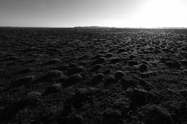 bir alanın çok küçük tepeler ile siyah beyaz resim