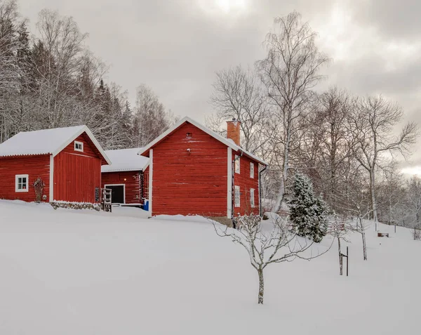 Tres casas rojas con nieve en el suelo y bosque en la parte trasera — Foto de Stock