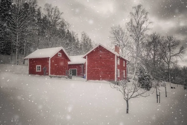 Nieve en primer plano y tres cabañas rojas con bosque en el — Foto de Stock