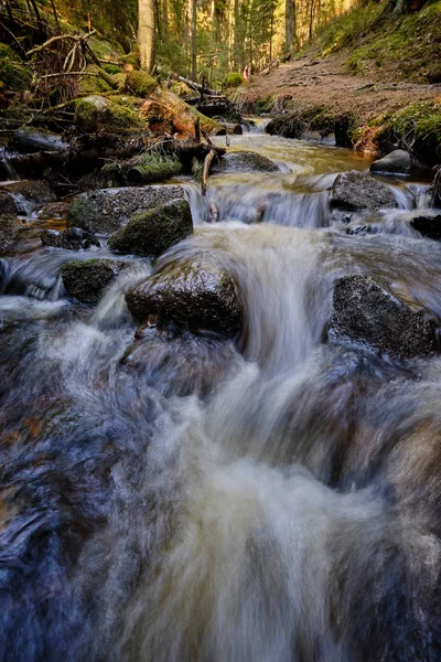 Маленький Водоспад Струмку Оточений Лісом — стокове фото