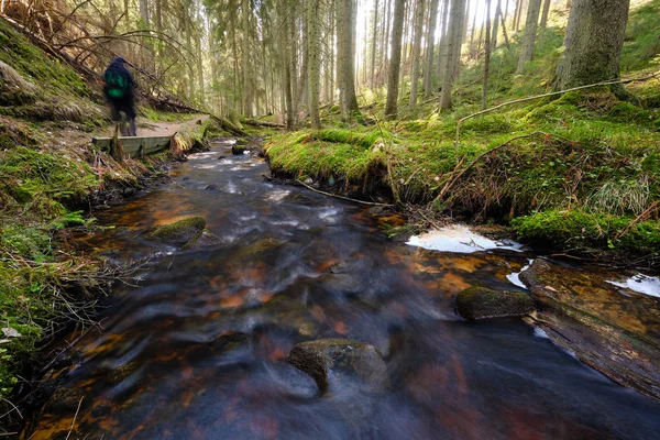 blurred image of a person walking in the forest next to a river