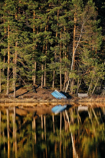 Blue Boat Forest Edge Lake Forest Reflects Water — стоковое фото