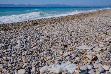 bir plajda yüzen çöp
