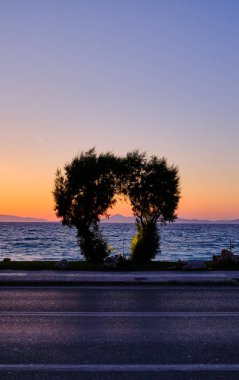 Güzel bir gün batımında arka planda deniz ve dağlar ile ön planda iki ağaç ve bir yol