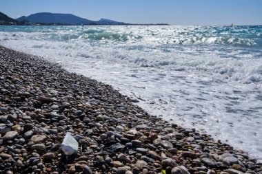 bir plajda yüzen çöp