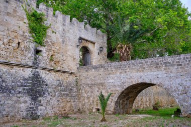 bir kaleye giden köprü, çevrede yeşil büyük ağaçlar