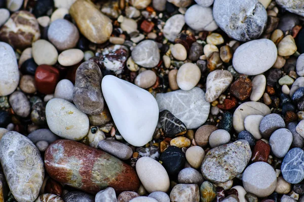 smooth stones on the beach with a white stone in the center