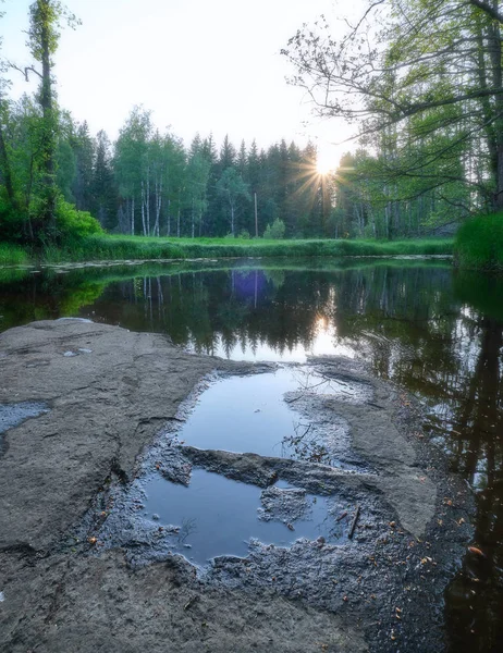 小川と森を背景にした前景の石や水たまり — ストック写真