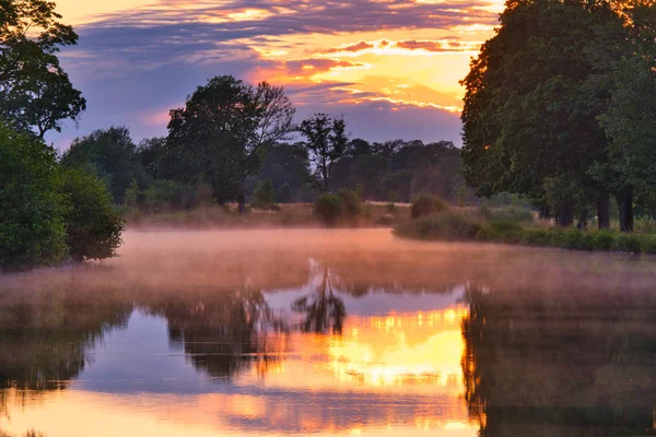 Fog Canal Trees Sides Sunset Background — Stock Photo, Image