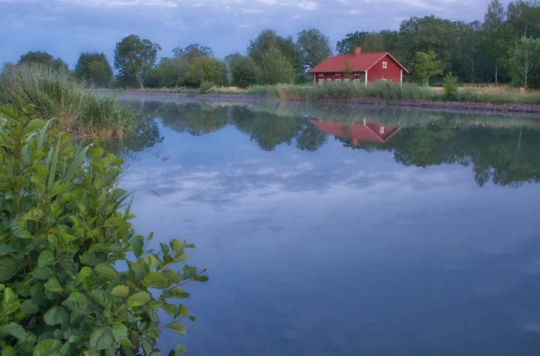 arka planda bir kanal üzerinde kırmızı yazlık ve ön planda yeşil bitkiler