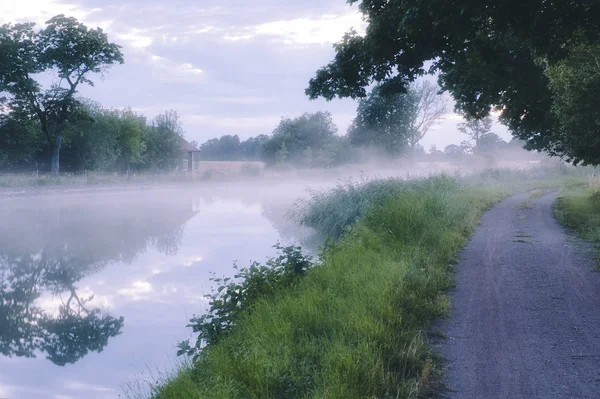 Image Soir Avec Brouillard Sur Eau Avec Des Arbres Des — Photo