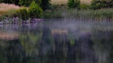 arka planda orman ile su üzerinde süpürme sis
