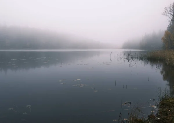 Herbst Foto Von Einem See Und Wald Einem Nebligen Morgen — Stockfoto