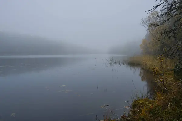 Herbst Foto Von Einem See Und Wald Einem Nebligen Morgen — Stockfoto