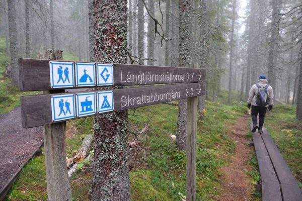 Een Man Loopt Een Houten Voetgangersbrug Het Bos Volgt Borden — Stockfoto