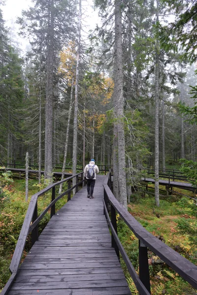 Een Man Loopt Een Houten Voetgangersbrug Het Bos — Stockfoto