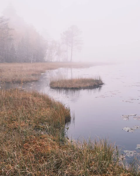 Foto Eines Sees Mit Nebel Und Wald Hintergrund — Stockfoto