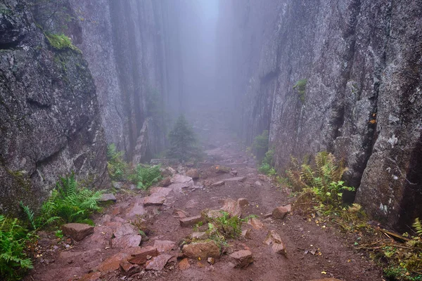 Her iki taraftaki yüksek uçurumlar aynı anda sisli havada yol alıyor.