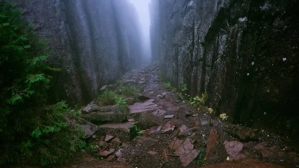 Her iki taraftaki yüksek uçurumlar aynı anda sisli havada yol alıyor.