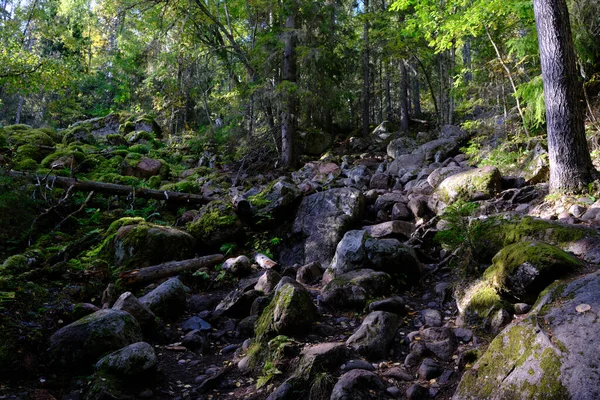 Caminho Rochoso Até Uma Montanha Através Floresta — Fotografia de Stock