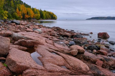 Arka planda sonbahar renkli ağaçlarla kıyı boyunca kayalık kıyı.