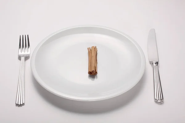 Spicy Cuisine Concept Cinnamon Stick Empty White Dish Isolated White — Stock Photo, Image