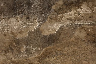 bir taş kaldırımda yakın