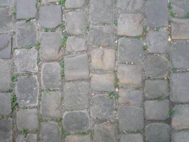 bir taş kaldırımda yakın