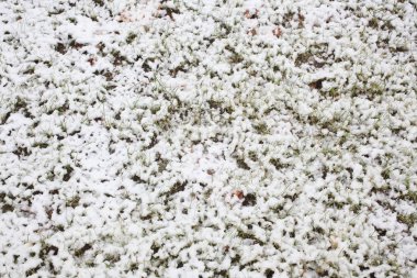 metin için kopya alanı ile kar kaplı çayır