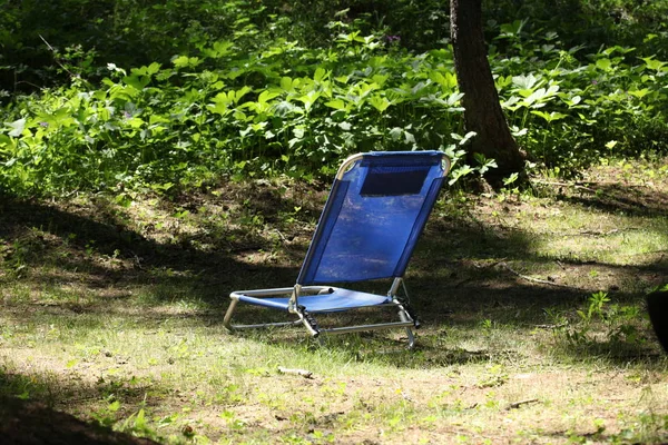 蓝色躺椅在木材与文本的复制空间 — 图库照片