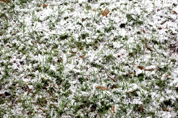 雪覆盖的草地与文本的复制空间 — 图库照片