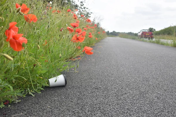 A discarded coffee cup lies at the side of a path nestled amongst poppy flowers as car speeds by