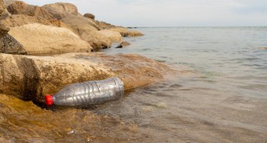 Plastik su şişesi kayalara yıkandı 