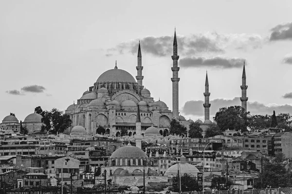 Black White Cityscape Istanbul — Stock Photo, Image